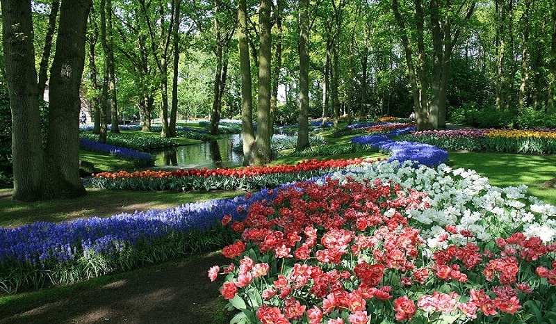 amsterdam18 amsterdam18